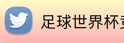 足球世界杯竞猜网站 Logo